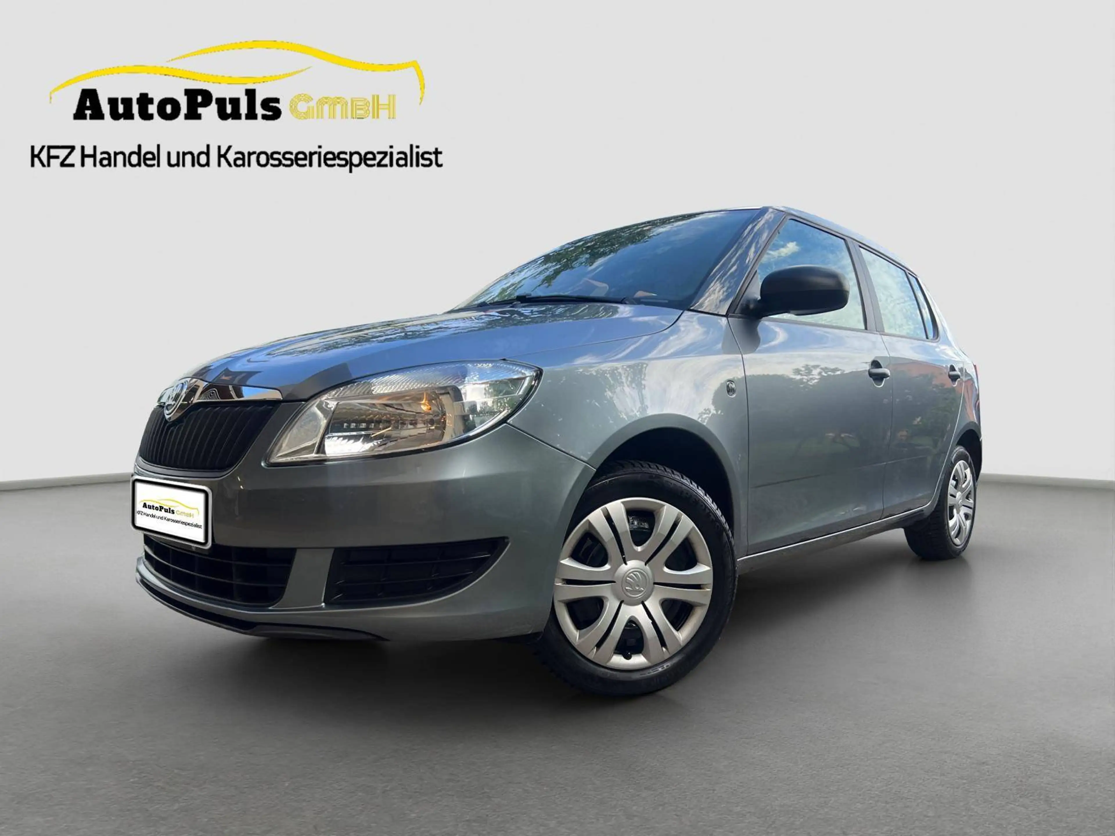 Skoda Fabia PICKERL NEU *** 8fach Bereift *** kein Rost ***
