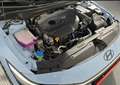 Hyundai ELANTRA N Performance 2.0 TGDI - Koreaimport Blau - thumbnail 14