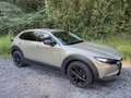 Mazda CX-30 CX-30 e-Skyactive G122 Nagisa Grün - thumbnail 1