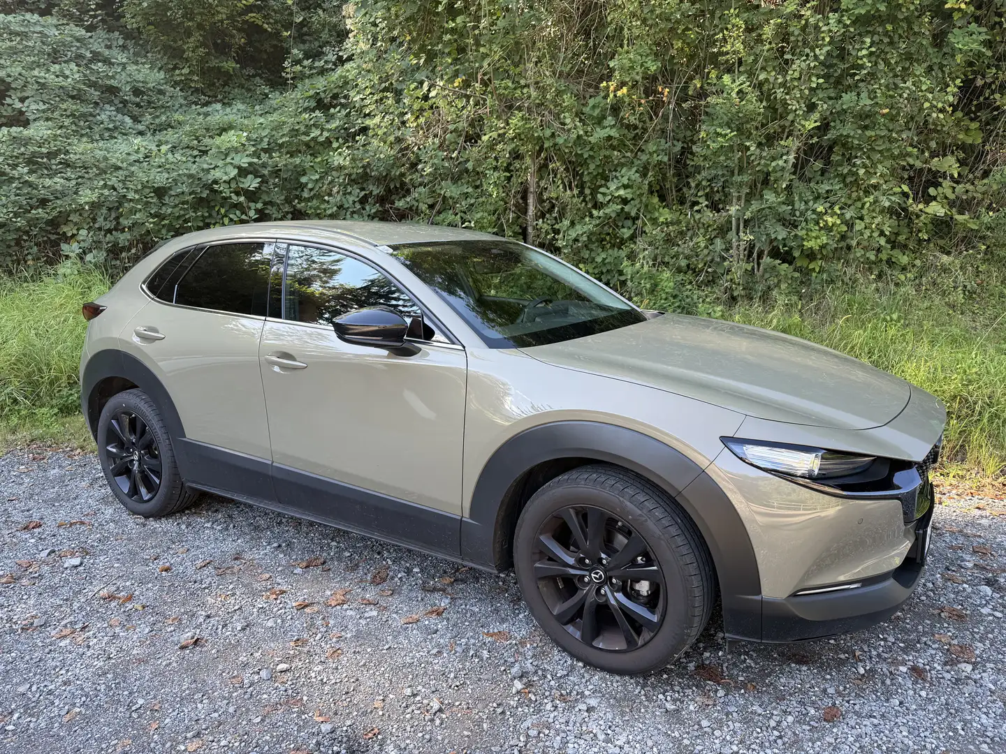 Mazda CX-30 CX-30 e-Skyactive G122 Nagisa Grün - 1