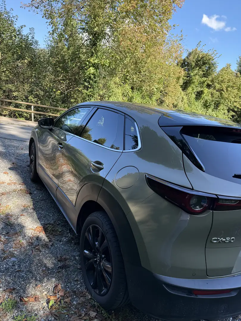 Mazda CX-30 CX-30 e-Skyactive G122 Nagisa Grün - 2