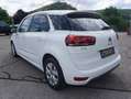 Citroen C4 Picasso HDi 120 Feel Edition Weiß - thumbnail 7