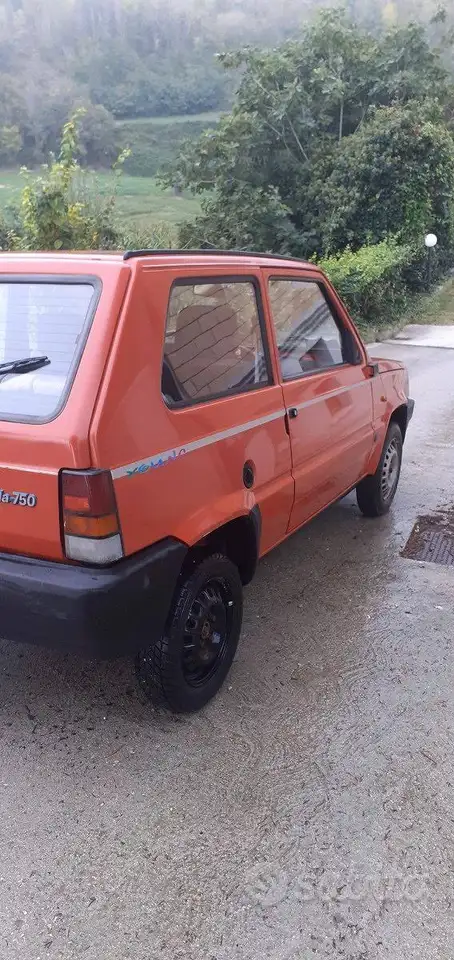 Fiat Panda 769 Young, foto 4