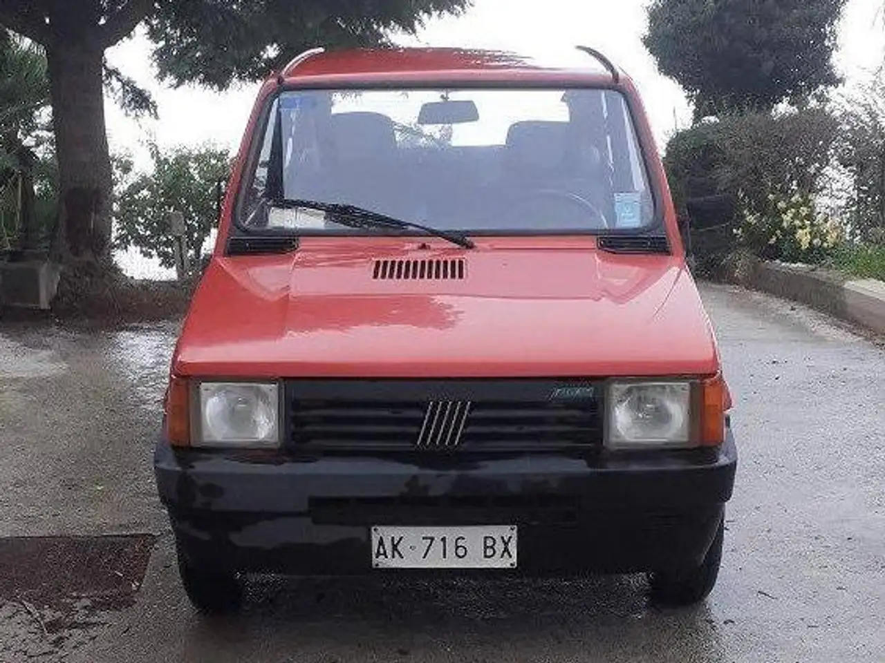 Fiat Panda 769 Young, foto 1