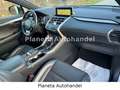 Lexus NX 300 h E-Four Sport*HEAD-UP-DISPLAY*LED*CAM* Grau - thumbnail 17