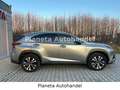 Lexus NX 300 h E-Four Sport*HEAD-UP-DISPLAY*LED*CAM* Grau - thumbnail 5