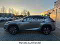 Lexus NX 300 h E-Four Sport*HEAD-UP-DISPLAY*LED*CAM* Grau - thumbnail 9