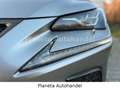 Lexus NX 300 h E-Four Sport*HEAD-UP-DISPLAY*LED*CAM* Grau - thumbnail 13
