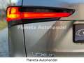 Lexus NX 300 h E-Four Sport*HEAD-UP-DISPLAY*LED*CAM* Grau - thumbnail 10