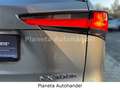 Lexus NX 300 h E-Four Sport*HEAD-UP-DISPLAY*LED*CAM* Grau - thumbnail 10