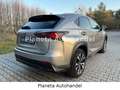 Lexus NX 300 h E-Four Sport*HEAD-UP-DISPLAY*LED*CAM* Grau - thumbnail 6