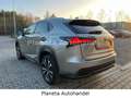 Lexus NX 300 h E-Four Sport*HEAD-UP-DISPLAY*LED*CAM* Grau - thumbnail 7