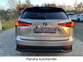 Lexus NX 300 h E-Four Sport*HEAD-UP-DISPLAY*LED*CAM* Grau - thumbnail 7