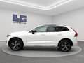 Volvo XC60 T6 Recharge R-Design Blanco - thumbnail 7