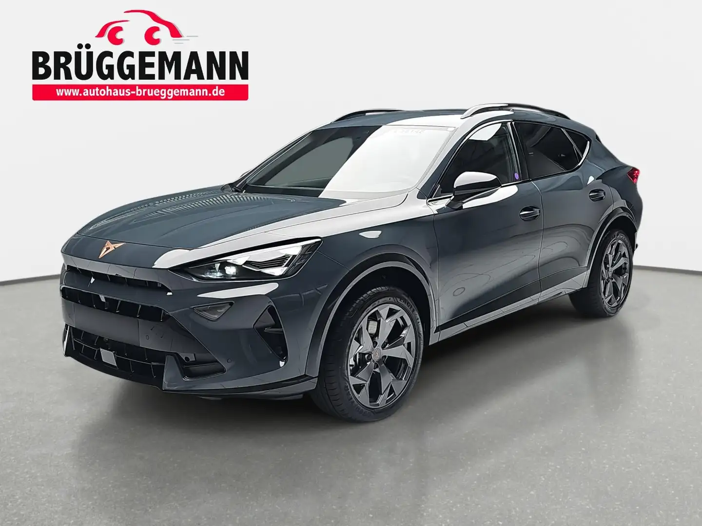 CUPRA Formentor FORMENTOR 1.5 ETSI DSG LED EDGE PAKET EL.HECKKLAPP Blau - 1