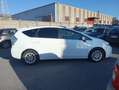 Toyota Prius Prius 1.8 Style 7 POSTI Bianco - thumbnail 4