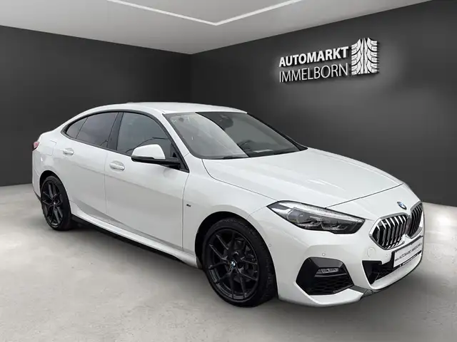 BMW 218 Gran C M Sport Kamera*HiFi*LED*ACC*DAB*18