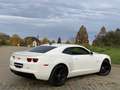 Chevrolet Camaro USA LS 3.6 V6 LFX 323PK, HANDGESCHAKELD Weiß - thumbnail 5