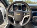 Chevrolet Camaro USA LS 3.6 V6 LFX 323PK, HANDGESCHAKELD Weiß - thumbnail 13