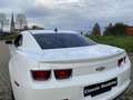 Chevrolet Camaro USA LS 3.6 V6 LFX 323PK, HANDGESCHAKELD Weiß - thumbnail 43