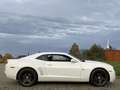 Chevrolet Camaro USA LS 3.6 V6 LFX 323PK, HANDGESCHAKELD Weiß - thumbnail 6