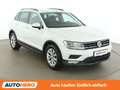 Volkswagen Tiguan 1.4 TSI Comfortline BlueMotion *SPUR*PDC*3-ZONEN* Weiß - thumbnail 8