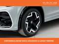 Volkswagen Tiguan 2,0 TDI SCR R-LINE DSG 150 CV Grau - thumbnail 6