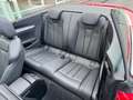 Audi A5 CABRIOLET 40 TFSI  SPORT S-TRONIC VIRTUAL COCKPIT Rot - thumbnail 16