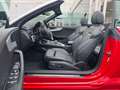 Audi A5 CABRIOLET 40 TFSI  SPORT S-TRONIC VIRTUAL COCKPIT Rot - thumbnail 14