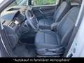Volkswagen Caddy Trendline AHK+STANDH.+KAMERA+SITZH.+TEMPO Weiß - thumbnail 10