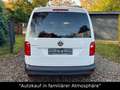Volkswagen Caddy Trendline AHK+STANDH.+KAMERA+SITZH.+TEMPO Weiß - thumbnail 5