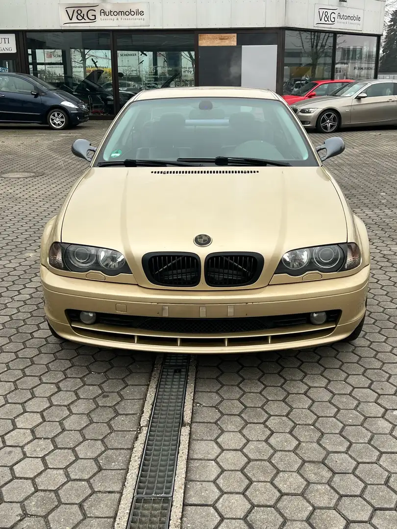 BMW 323 Złoty - 1