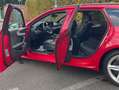 Audi A4 A4 Avant Diesel Avant 40 TDI S tronic Rot - thumbnail 5