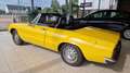 Alfa Romeo Spider 1600 - thumbnail 4