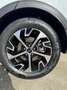 Kia Sportage KM 0 Sportage 1.6 crdi mhev Style dct IVA ESPOSTA Blanc - thumbnail 21