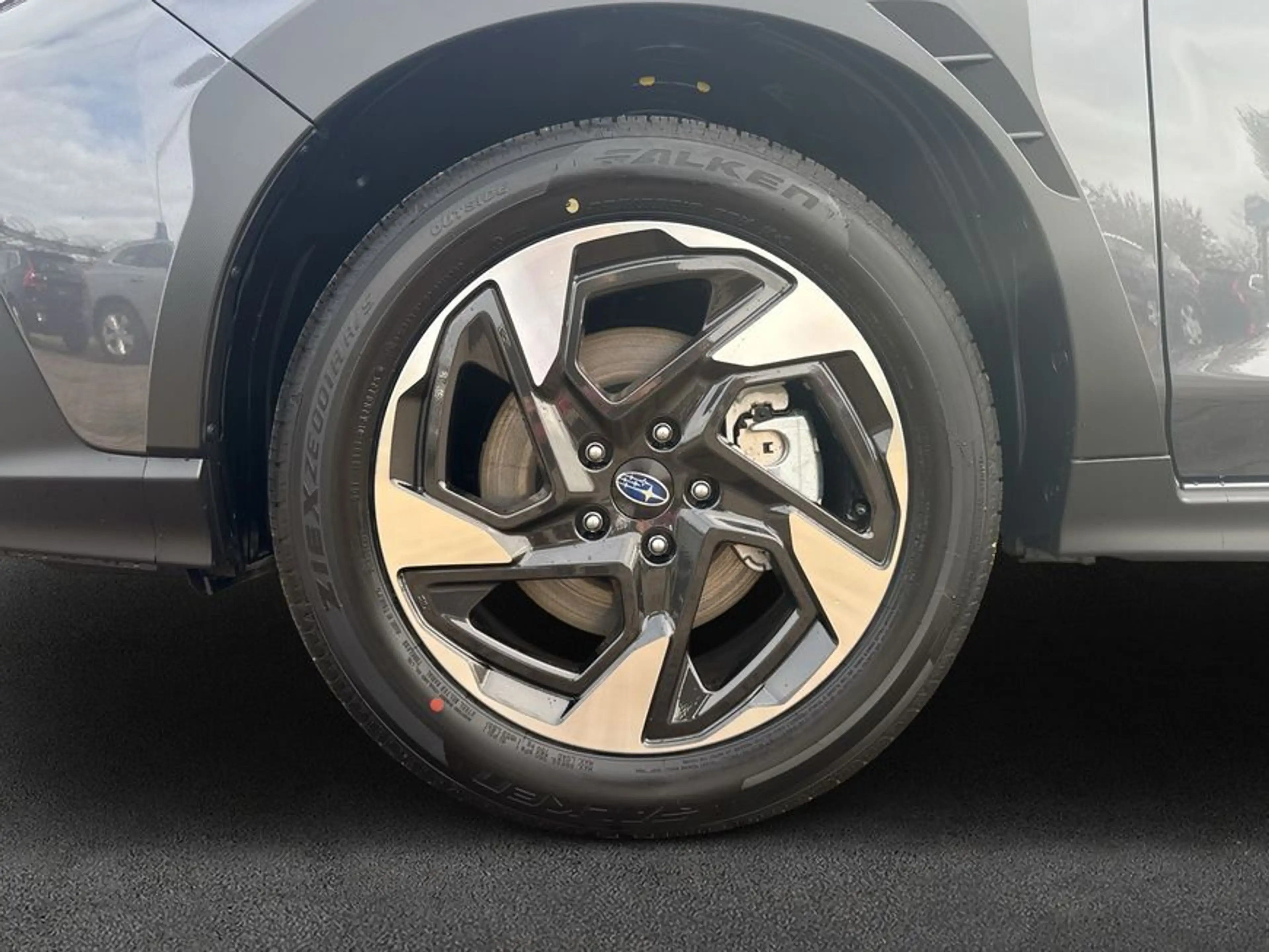 Subaru Crosstrek Crosstrek 2.0ie Platinum MJ24 — photo 6