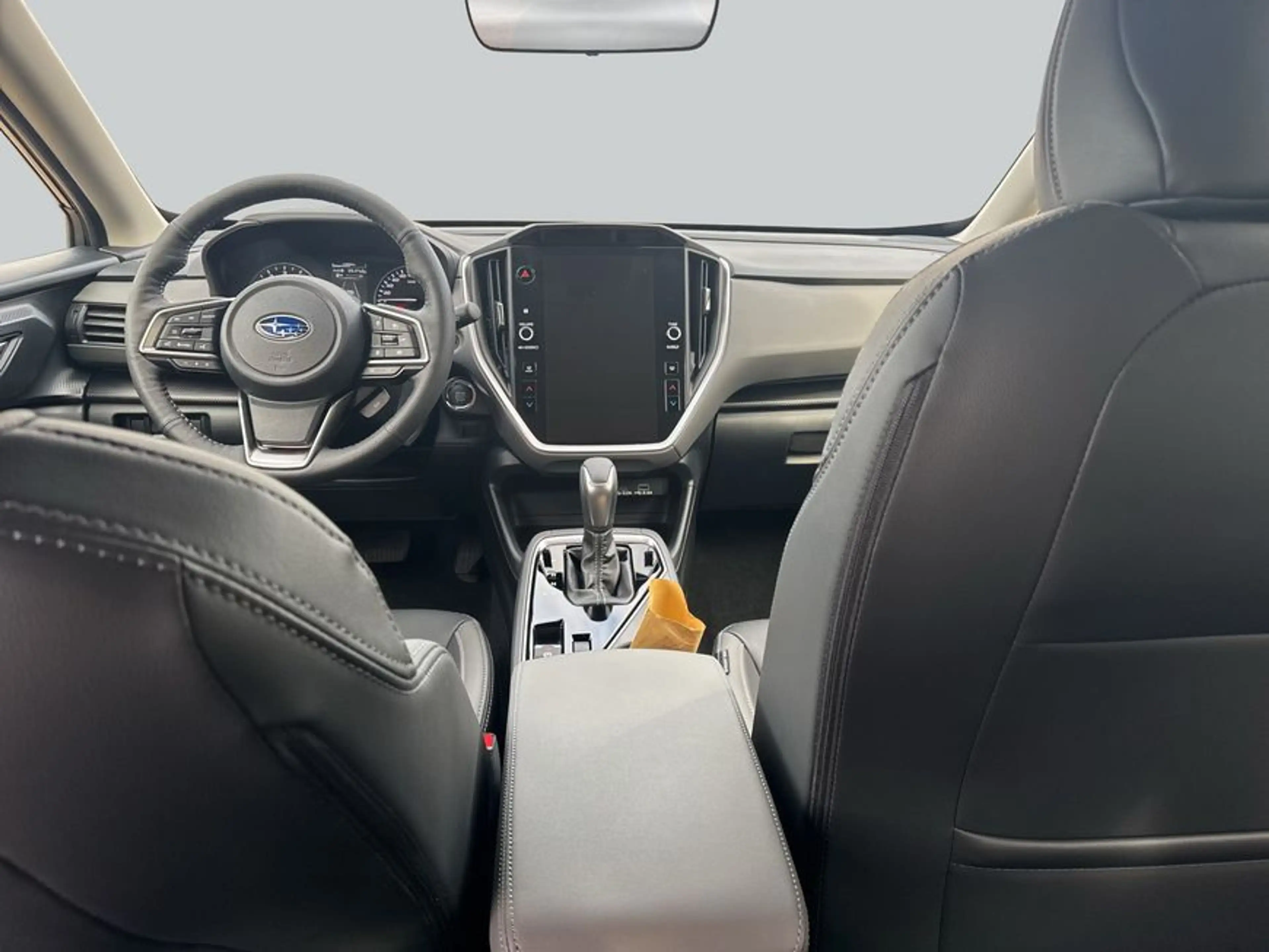 Subaru Crosstrek Crosstrek 2.0ie Platinum MJ24 — photo 10