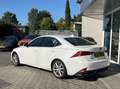 Lexus IS 300 300h HYBRID 223PK TREKHAAK+ACC+DAB+CAMERA DEALER O Weiß - thumbnail 12