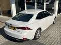 Lexus IS 300 300h HYBRID 223PK TREKHAAK+ACC+DAB+CAMERA DEALER O Weiß - thumbnail 14