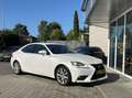 Lexus IS 300 300h HYBRID 223PK TREKHAAK+ACC+DAB+CAMERA DEALER O Weiß - thumbnail 13