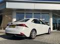 Lexus IS 300 300h HYBRID 223PK TREKHAAK+ACC+DAB+CAMERA DEALER O Weiß - thumbnail 5