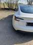 Tesla Model 3 Model 3 Standard Range RWD Premium 60kWh RWD Premium Weiß - thumbnail 11