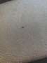 Skoda Citigo Citigo 1.0 Grt. Drive Zwart - thumbnail 8
