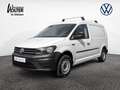 Volkswagen Caddy Maxi 2.0 TDI Kasten  AHK KLIMA PDC BLUET Weiß - thumbnail 1