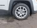 Jeep Renegade 1.0 Weiß - thumbnail 5
