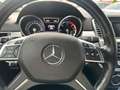 Mercedes-Benz ML 250 Pano,Navi,AHK,Leder,MB-Scheckh,Euro 6 Schwarz - thumbnail 15