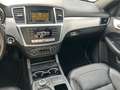 Mercedes-Benz ML 250 Pano,Navi,AHK,Leder,MB-Scheckh,Euro 6 Schwarz - thumbnail 17