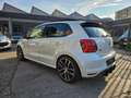 Volkswagen Polo GTI 1.8 5p. BlueMotion Technology Blanc - thumbnail 6