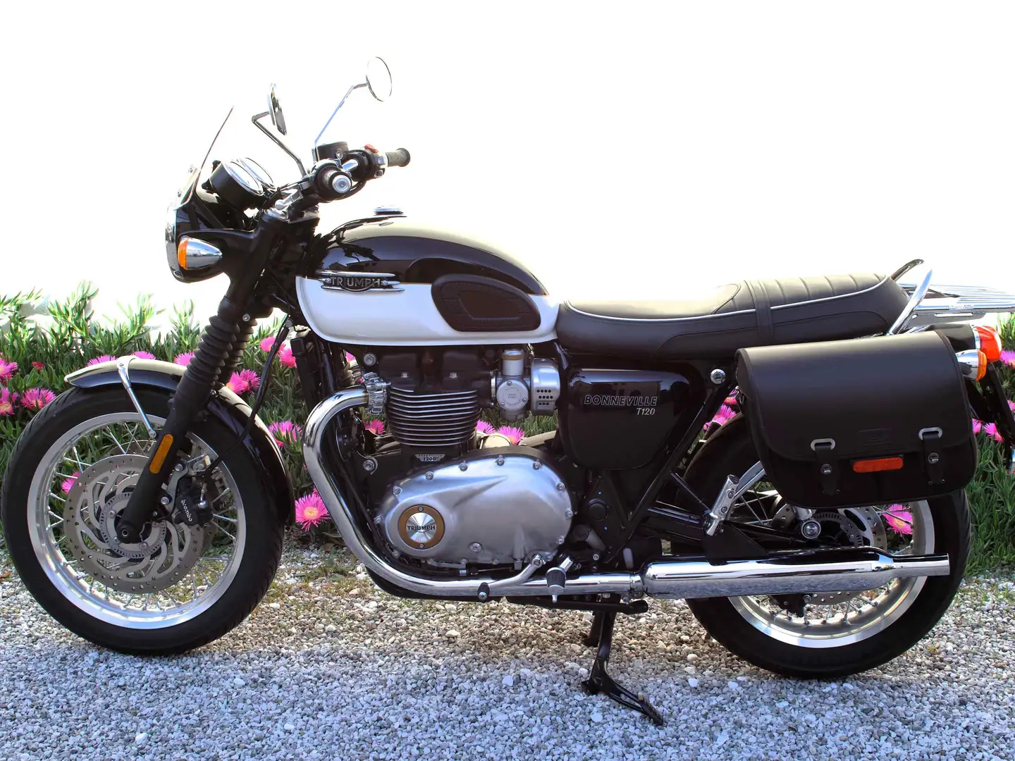 Triumph Bonneville T120 Classic Nero - 1