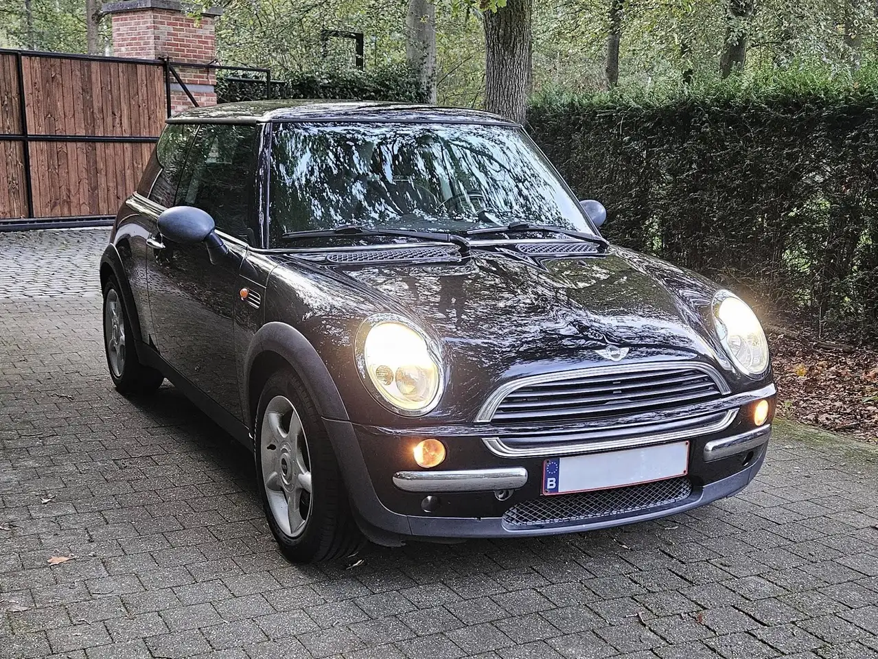 MINI One